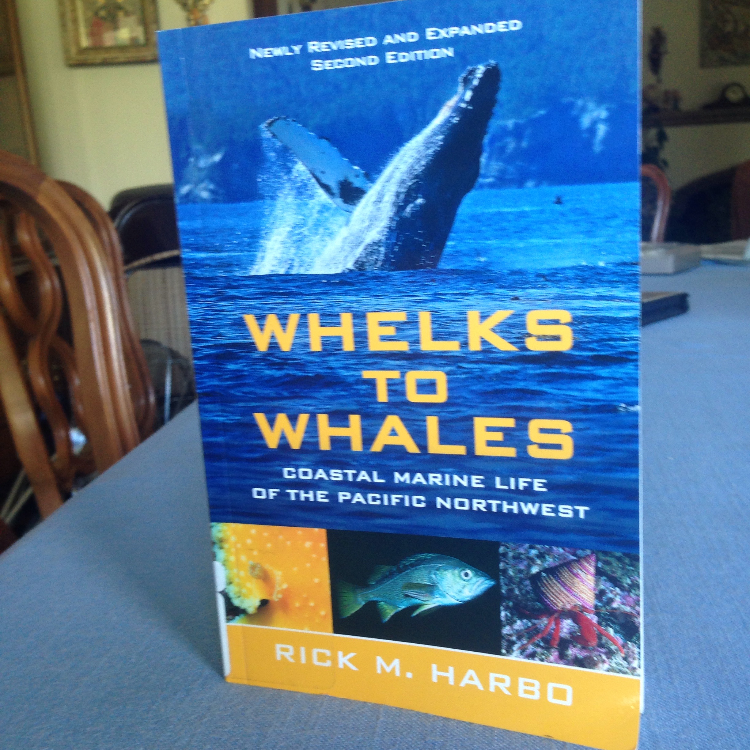 Whelks To Whales Book Review Kayaking Seattle Paddling